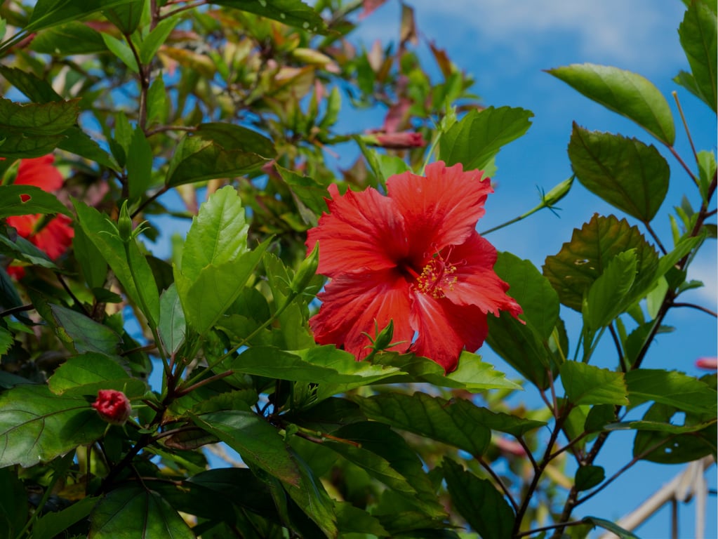 图片[2]-白桃はな ヌード写真集 これからも[166P] - 在线免费观看-阅图吧