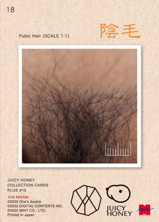 图片[35]-#Juicy Honey PLUS#15 三上悠亚 - 全本免费在线观看-阅图吧