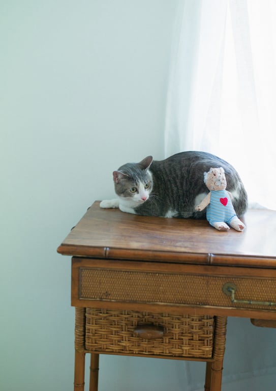 图片[180]-[電子書籍限定カバー･電子限定特典付] 佐佐木琴子1st写真集 黎明的梦 (声グラe-books) - 在线免费观看-阅图吧