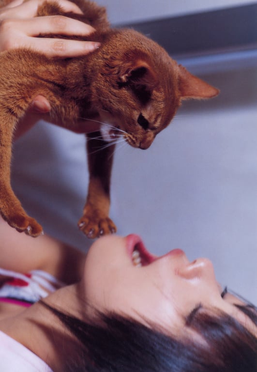 图片[37]-#(月刊シリーズ 058) – 月刊058 索尼 - 全本免费在线观看-阅图吧