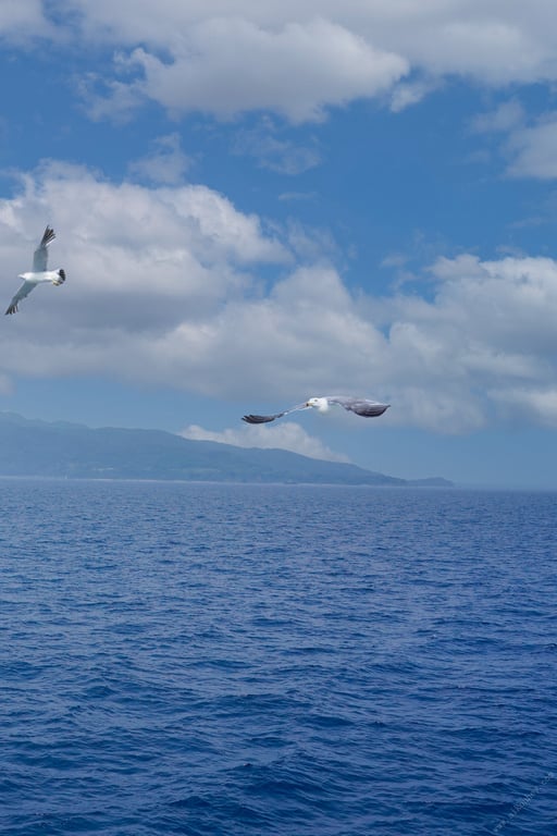 图片[2]-#Asuna Kawai 河合明日奈 – 时间的点滴～与你共度的那座岛上～ (2022-10-14) - 全本免费在线观看-阅图吧