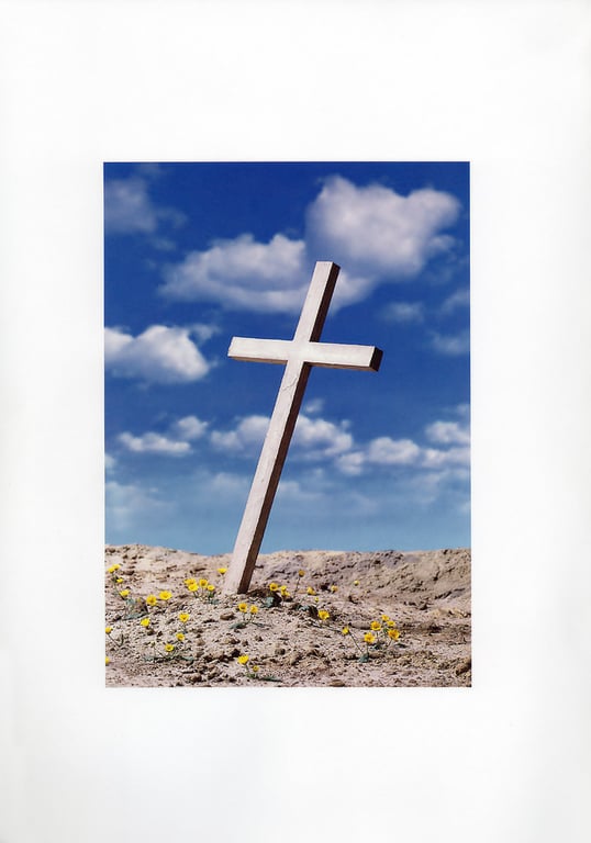 图片[87]-#杏さゆり – 水着ファイター EVOLUTIONS anzu n’ roses - 全本免费在线观看-阅图吧