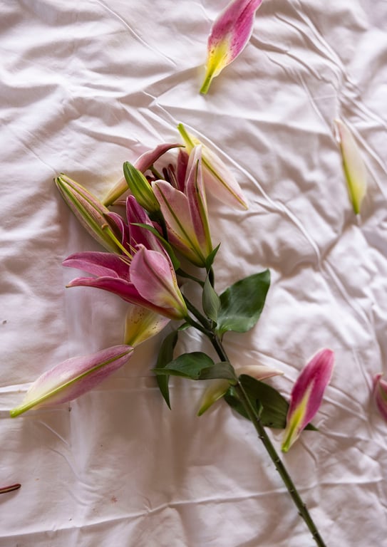 图片[137]-#白間美瑠写真集 MERCI Another Edition [side A] - 全本免费在线观看-阅图吧