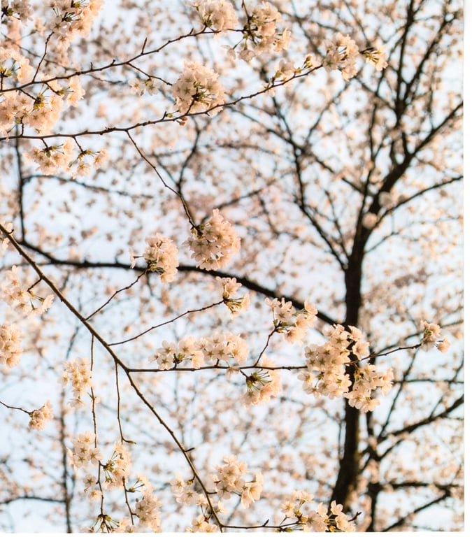 图片[144]-#青山裕企 Photobook 26sets\【青山裕企】青山裕企♡妹妹 - 全本免费在线观看-阅图吧