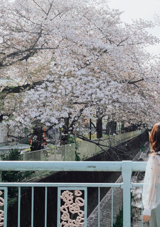 图片[111]-#七ツ森りりデジタル写真集 被拍走(No Watermark) - 全本免费在线观看-阅图吧