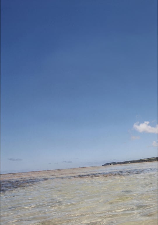 图片[26]-#鞘師里保 写真集 安杜华 (Photobook+DVD付き) - 全本免费在线观看-阅图吧