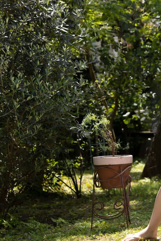 图片[51]-[FLASH Photobook] Tsumugi Hashimoto 桥本纺 - The best in Osaka is the best in Japan! 大阪第一就是日本第一！ (2023-06-20) - 在线免费观看-阅图吧