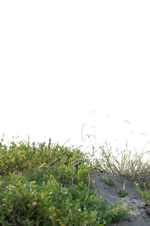 图片[82]-#Kyouka 京佳 – First nude 首次裸体 (2021-10-01) - 全本免费在线观看-阅图吧