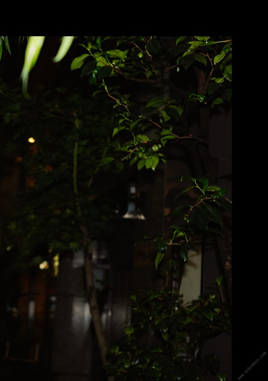 图片[29]-#NEWLOOK【girl meets street】伊贺真子 - 在线免费观看-阅图吧