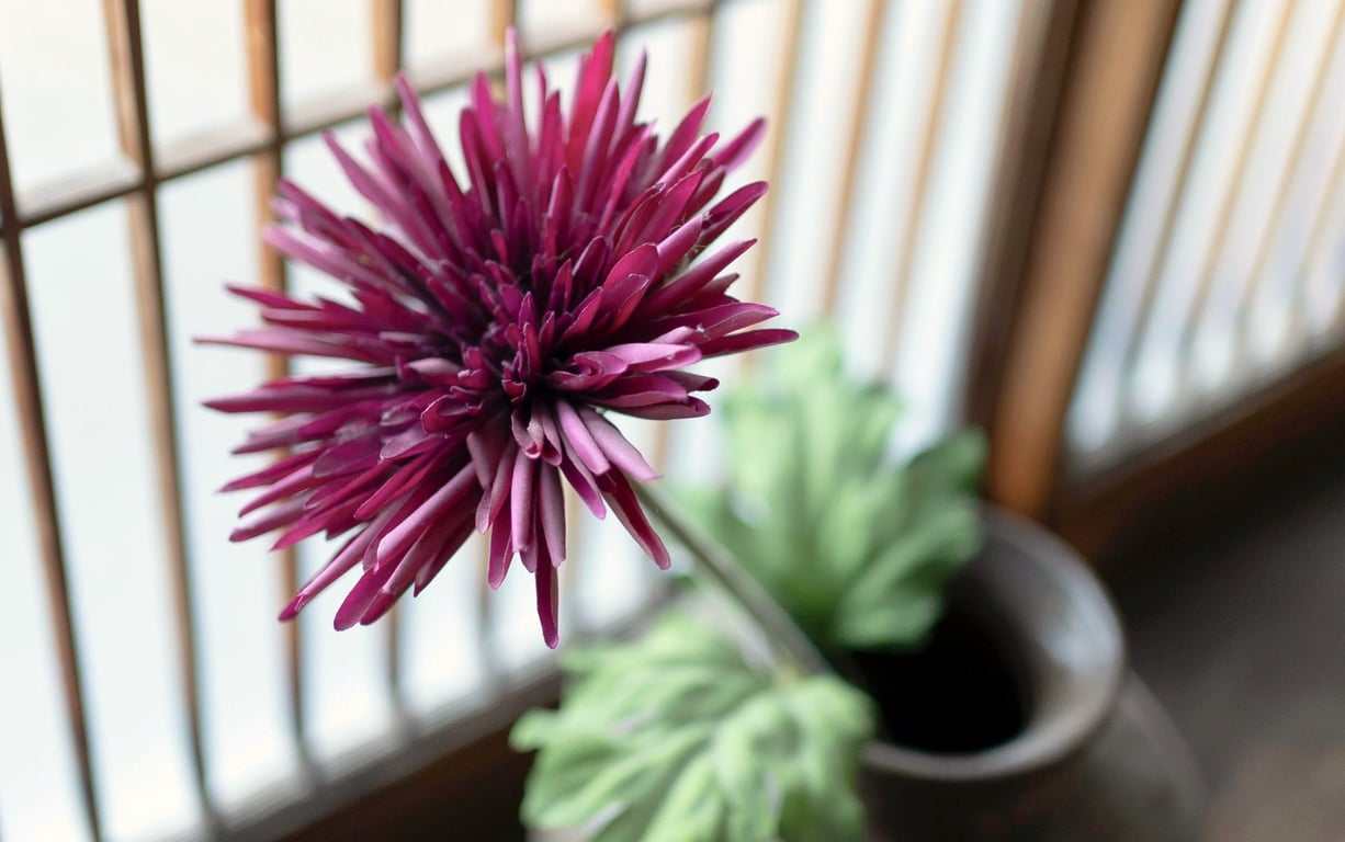 图片[105]-#七菜乃 裸体写真集『Dream』 - 全本免费在线观看-阅图吧