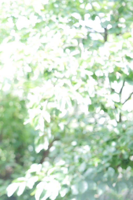 图片[7]-#池田夏希 闭上眼睛可不行哦 週刊ポストデジタル写真集 - 全本免费在线观看-阅图吧