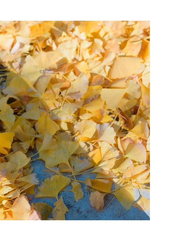 图片[7]-#INORI 花宫祈 1st e-book (Wunder_Publishing_House.) - 全本免费在线观看-阅图吧