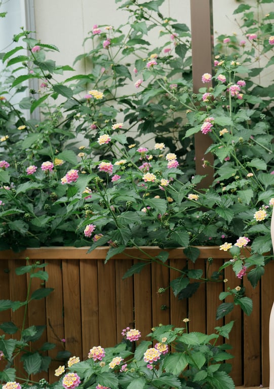 图片[77]-槙いずな 数字写真集 とられち(No Watermark) - 在线免费观看-阅图吧