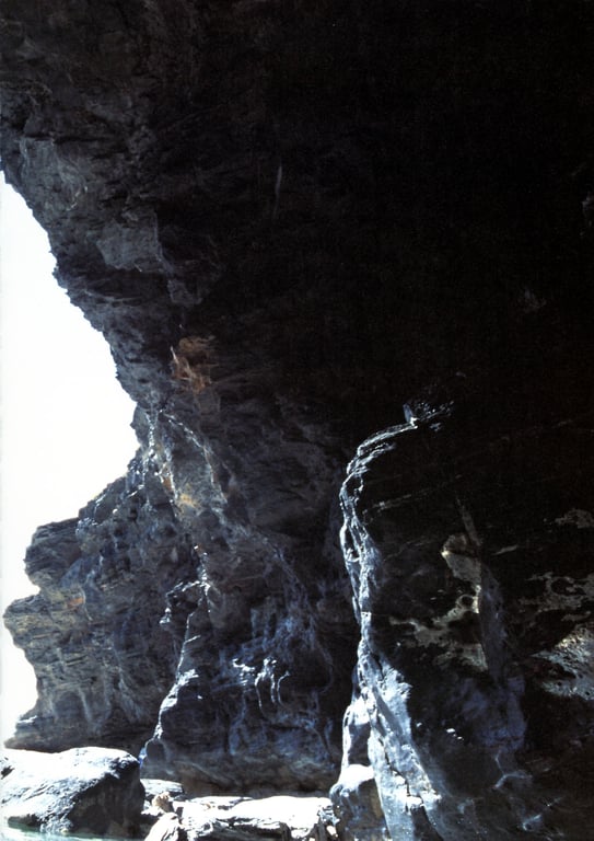 图片[78]-#Sayuri Iwata 岩田小百合 – best friend(20051115) - 全本免费在线观看-阅图吧