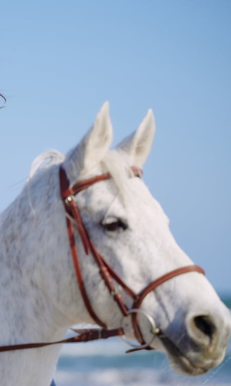 图片[41]-#【数字限定】雪平莉左写真集「凛然而立，纯白。」 週プレ PHOTO BOOK\ 【数字限定】雪平莉左写真集「凛然而立，纯白。」 週プレ PHOTO BOOK - 全本免费在线观看-阅图吧