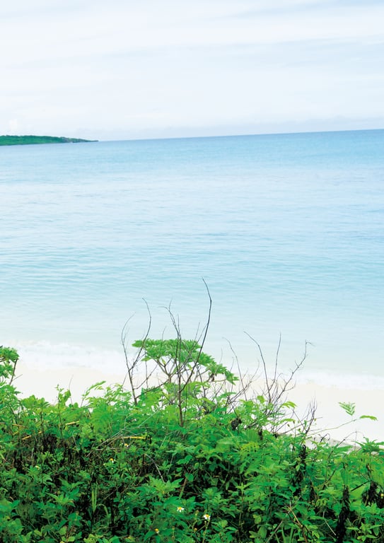 图片[39]-#Aika Sawaguchi 沢口爱华 – Stretching 背伸び (2020-10-28) - 全本免费在线观看-阅图吧