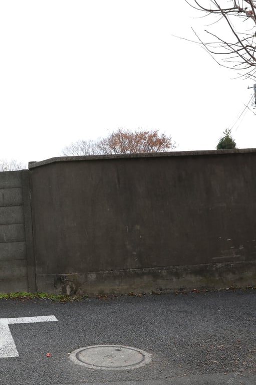 图片[99]-#Kana Mito 水户香奈 – A person who loves flowers 花を愛でる人 (2019-10-28) - 全本免费在线观看-阅图吧