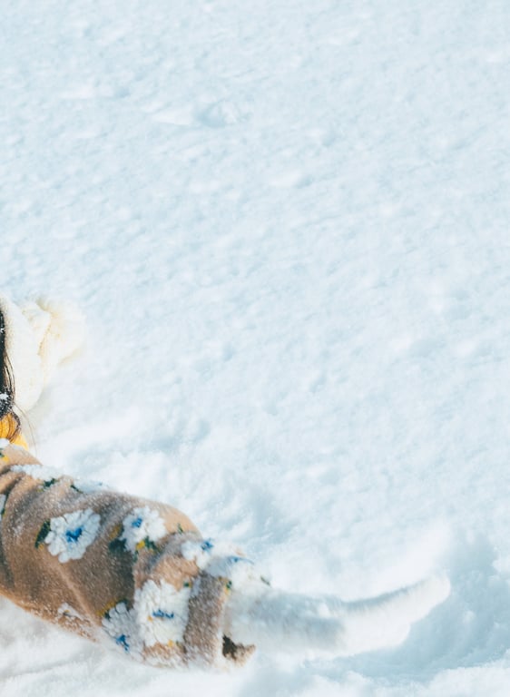 图片[135]-#松下玲绪菜2nd写真集 in the seasons - 全本免费在线观看-阅图吧