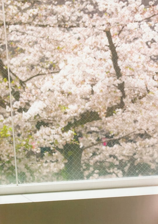 图片[37]-Shiori Kubo 久保史绪里 - 1st Photobook Intersection 交差点(23-07-11) - 在线免费观看-阅图吧