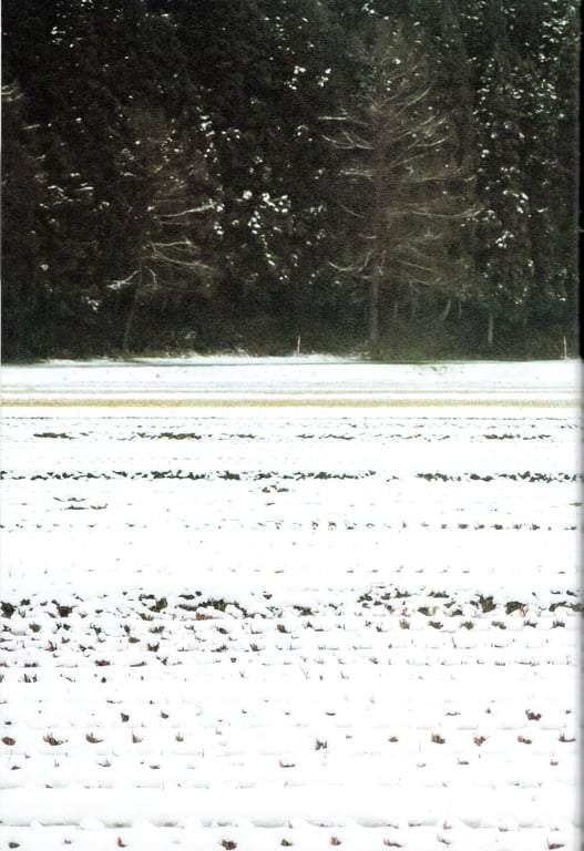 图片[32]-#青山裕企 Photobook 26sets\【青山裕企】你的足迹 生驹里奈 - 全本免费在线观看-阅图吧