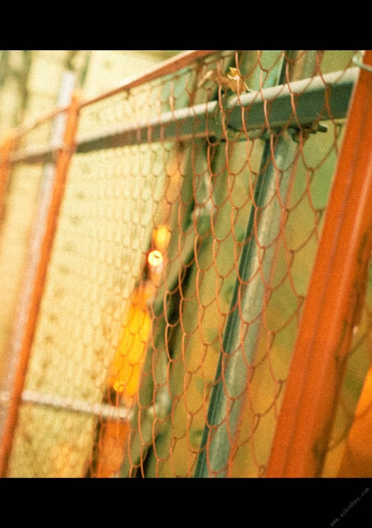 图片[41]-#NEWLOOK【girl meets street】深田英美里 - 在线免费观看-阅图吧