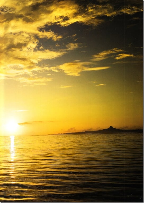 图片[50]-#Rino Sashihara 指原莉乃 – Lost to a cat 输给了猫 (2013-12-26) - 全本免费在线观看-阅图吧