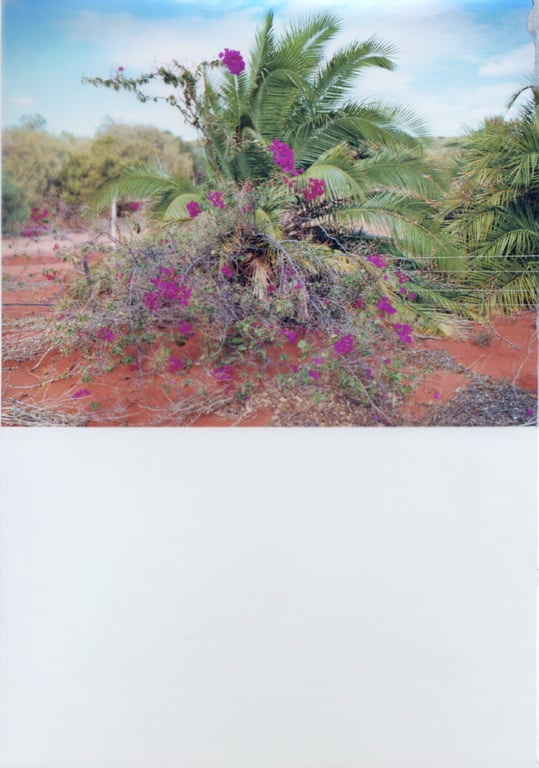 图片[171]-#釈由美子 – CHAOS - 全本免费在线观看-阅图吧