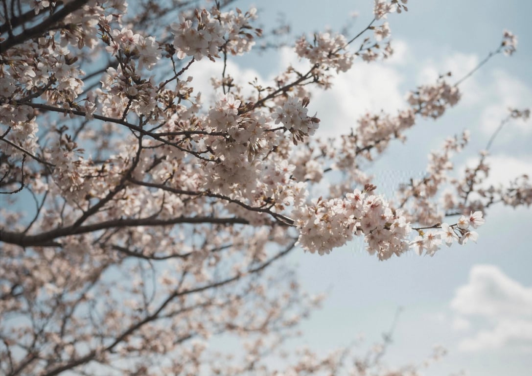 图片[5]-つなまよ 1st e-book 两人坠入爱恋的季节 (wunder publishing house) - 在线免费观看-阅图吧