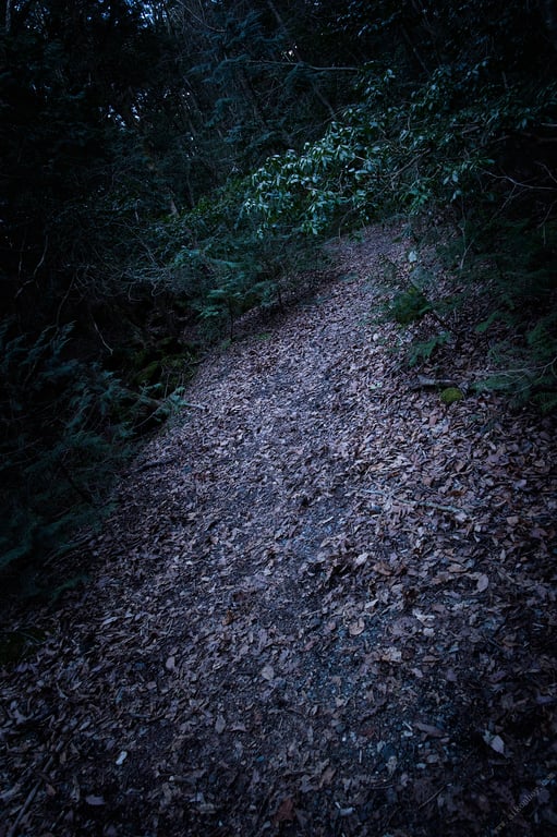 图片[90]-#染谷有香 HoneyTrap 周刊Post数字写真集 - 全本免费在线观看-阅图吧