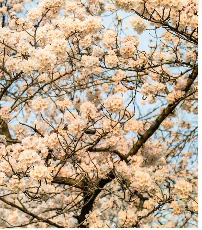 图片[151]-#青山裕企 Photobook 26sets\【青山裕企】青山裕企♡妹妹 - 全本免费在线观看-阅图吧