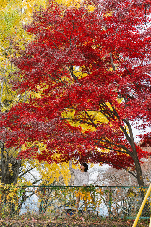 图片[19]-#けん研 (けんけん) 温泉巡游けんけん二泊三日 - 全本免费在线观看-阅图吧