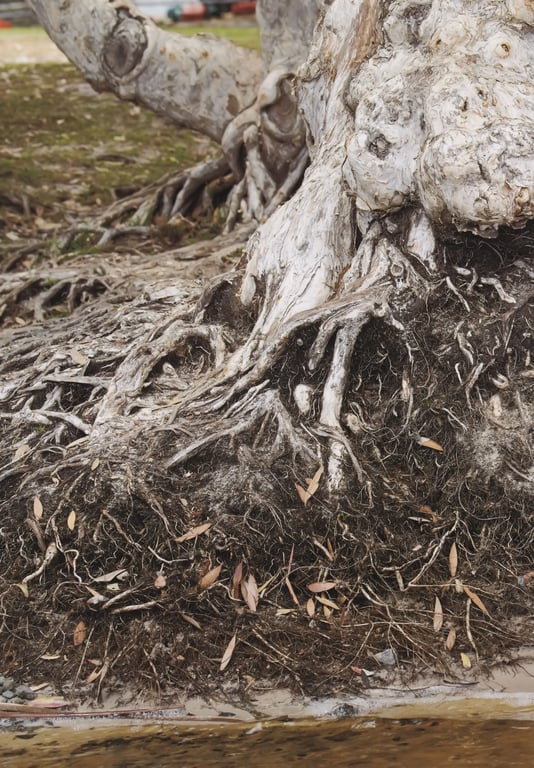 图片[121]-#都丸纱也华3rd写真集 MeeTomaru - 全本免费在线观看-阅图吧