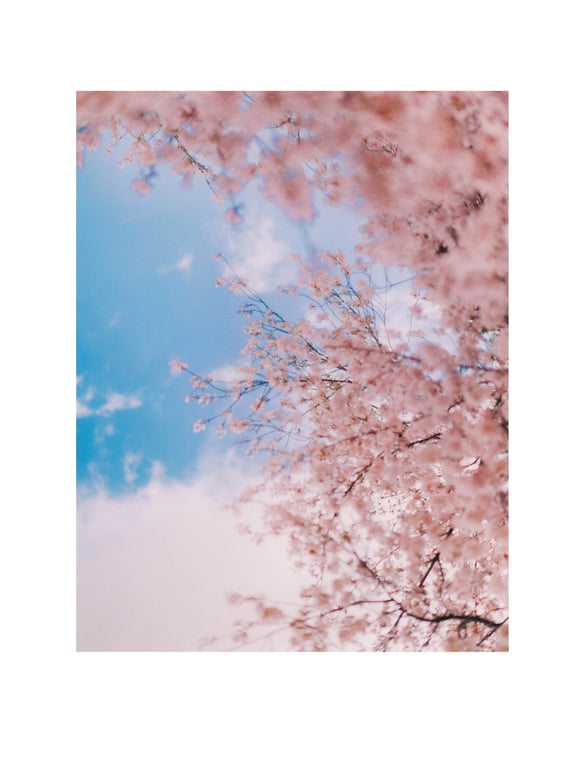 图片[120]-2023.09.12 上村雏乃写真集 就这样 - 在线免费观看-阅图吧