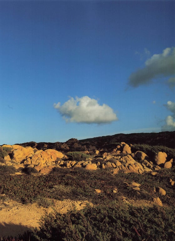 图片[126]-#堀未央奈 2nd写真集 『 曾经的约定之地 』Low - 全本免费在线观看-阅图吧