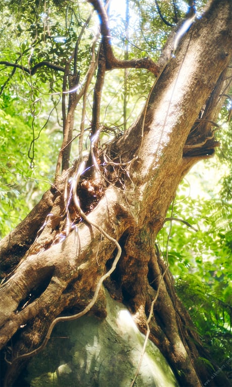 图片[54]-#【数字限定】工藤美樱写真集「夏之扉」 週プレ PHOTO BOOK - 全本免费在线观看-阅图吧