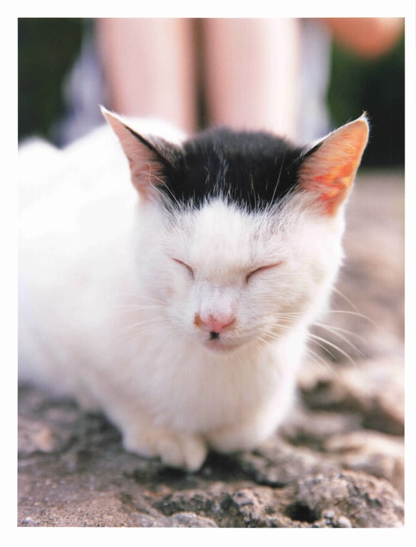 图片[41]-#乃木坂46 秋元真夏2nd写真集 『想让你幸福』Low - 全本免费在线观看-阅图吧