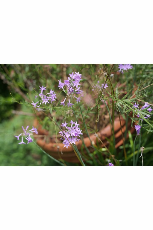 图片[46]-#Mari Takamiya & Sayaka Okada – Tile x Tile III 牌×牌III (2021-11-08) - 全本免费在线观看-阅图吧