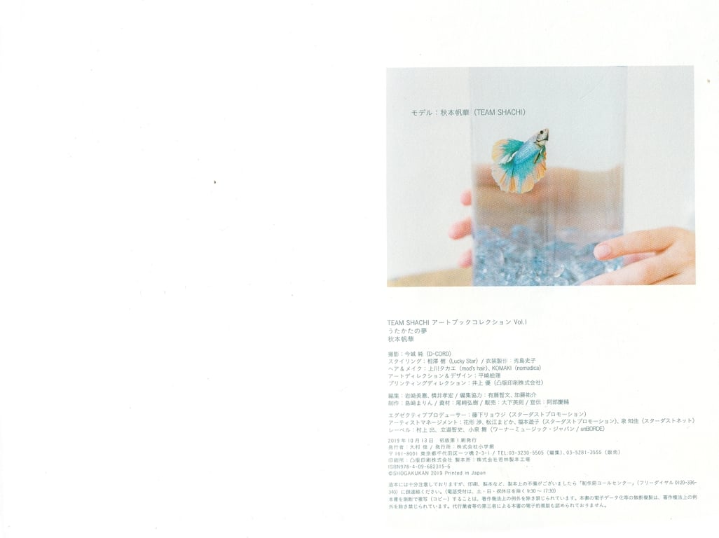 图片[39]-#TEAM SHACHI 艺术书收藏 Vol.1 泡沫之梦 秋本帆华 - 全本免费在线观看-阅图吧