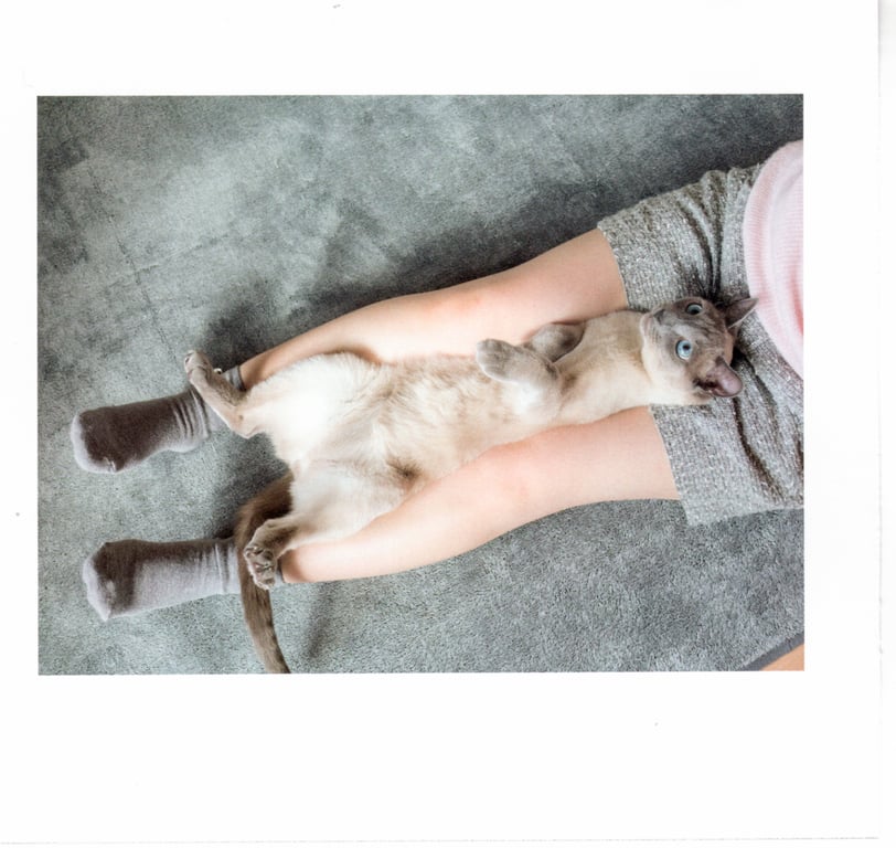 图片[44]-#青山裕企 Photobook 26sets\【青山裕企】猫与大腿 - 全本免费在线观看-阅图吧