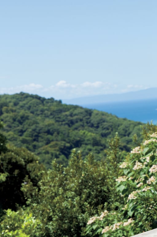 图片[45]-菊地姫奈「与你共度的夏天」　ｖｏｌ．２　１２０ページ豪华版 ＦＲＩＤＡＹデジタル写真集 - 在线免费观看-阅图吧