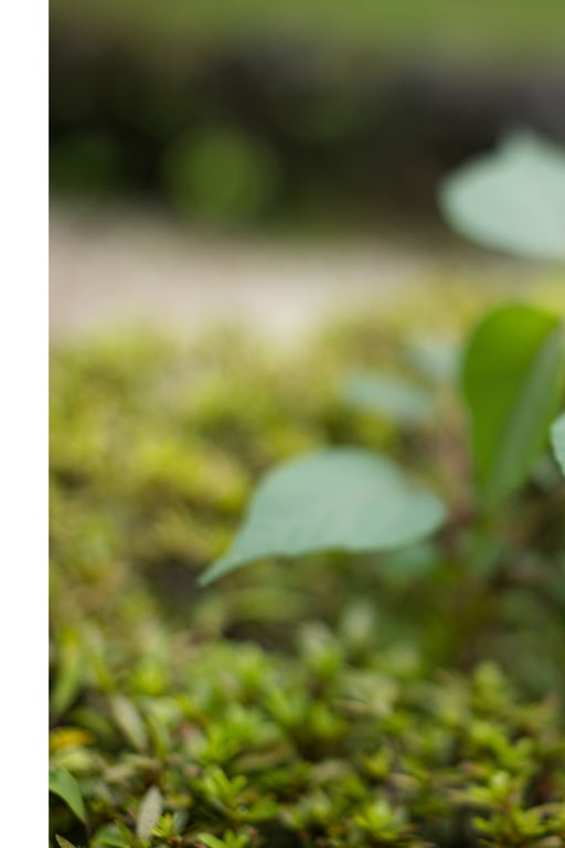 图片[59]-妃ひかり 开放式淋浴写真集 光照射的方向 - 在线免费观看-阅图吧