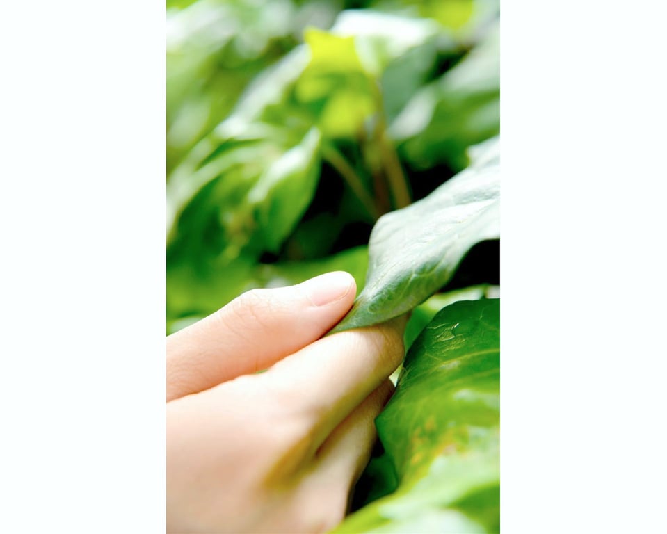 图片[4]-NUDE PHOTO BOOK 024 藤崎惠梨奈 - 在线免费观看-阅图吧