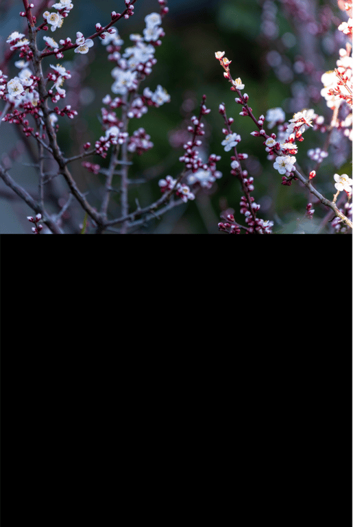 图片[45]-#吉根ゆりあ グラビア写真集 実りの季節で - 全本免费在线观看-阅图吧