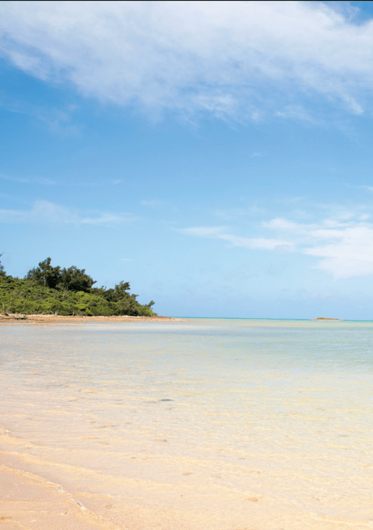 图片[88]-#渚光希 写真集「PRISM」(alarm) - 全本免费在线观看-阅图吧