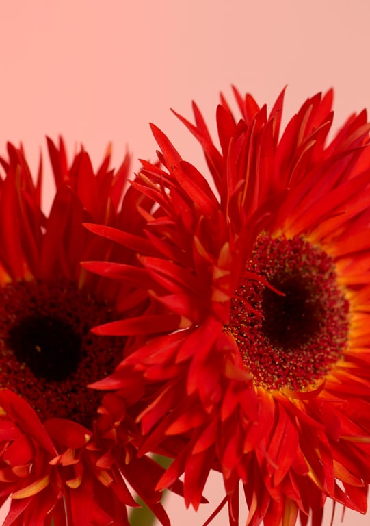 图片[120]-#2022.06.10 AV最高峰 S級GIRLS GROUP S1キャンペーン No.1 Photo Book S級版 - 全本免费在线观看-阅图吧