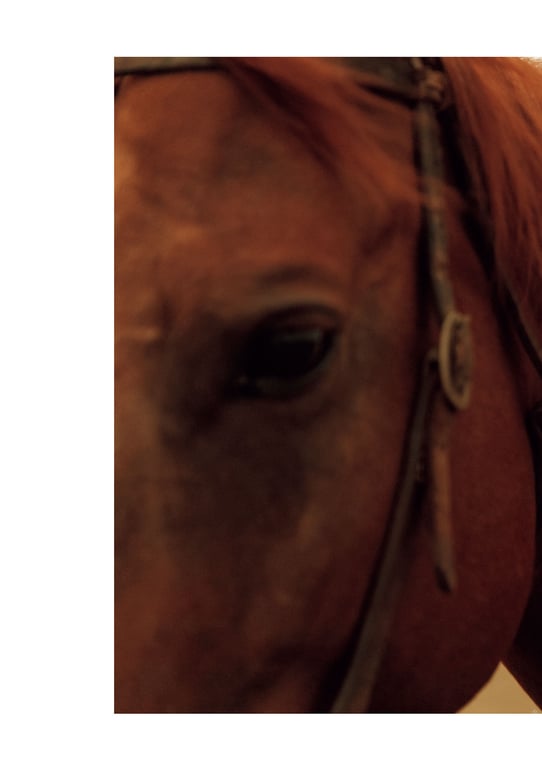 图片[37]-#Reina Triendl 特林德尔玲奈 – Ambiguous 暧昧 (2022-01-23) - 全本免费在线观看-阅图吧