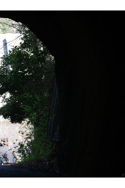 图片[94]-#Mai Tsubasa & Natsu Igarashi – With love and eros 爱与情欲 (2022-04-28) - 全本免费在线观看-阅图吧