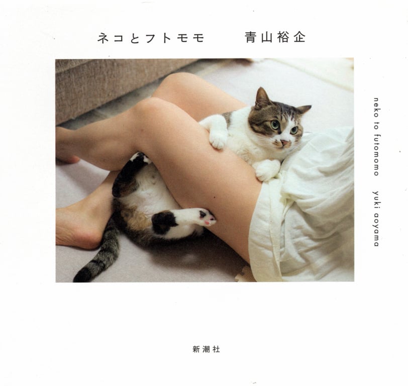 图片[12]-#青山裕企 Photobook 26sets\【青山裕企】猫与大腿 - 全本免费在线观看-阅图吧