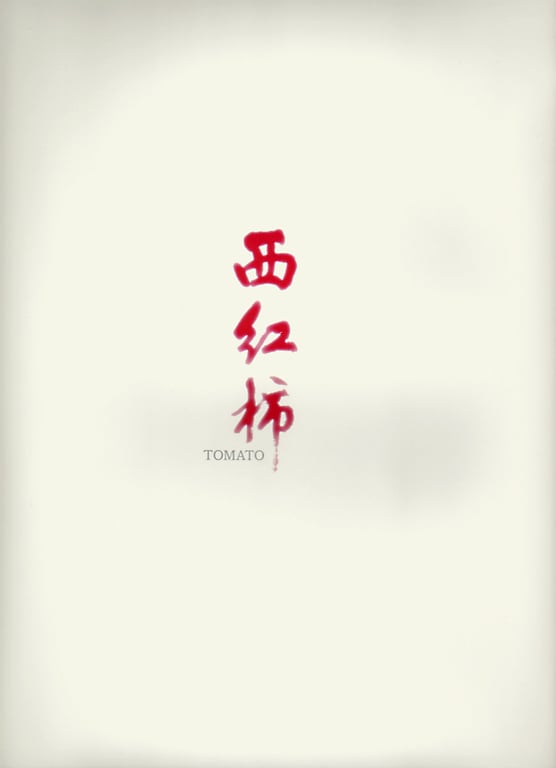 图片[8]-#Haruka Igawa 井川遥 – Tomato 西红柿 トマト」(20030223) - 全本免费在线观看-阅图吧