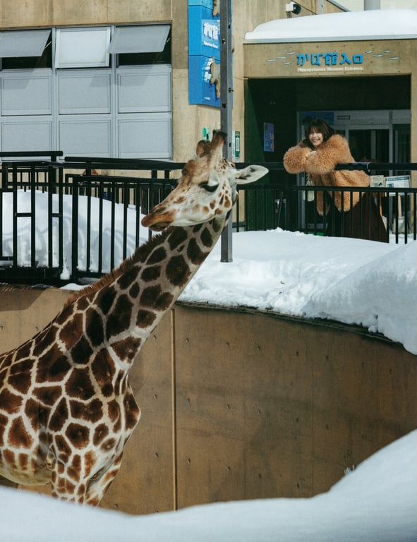 图片[18]-#櫻坂46 渡邉理佐 毕业纪念写真集 想要拥抱的瞬间 - 全本免费在线观看-阅图吧